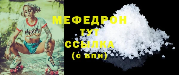 индика Кинешма