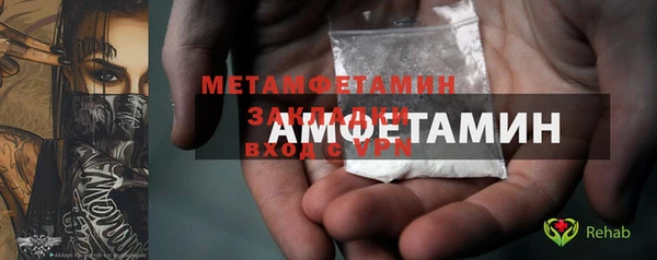 индика Кинешма