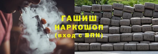индика Кинешма