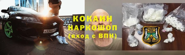 индика Кинешма