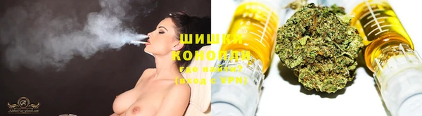 индика Кинешма