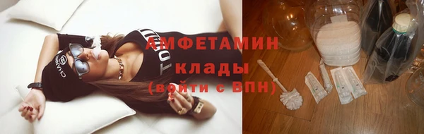 индика Кинешма