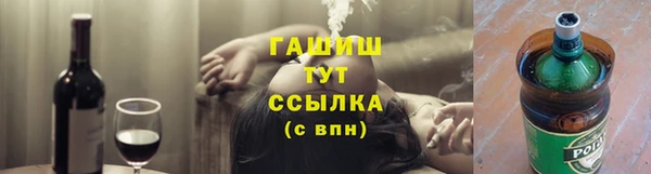 индика Кинешма