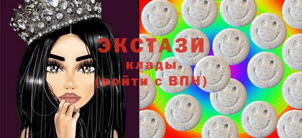 индика Кинешма