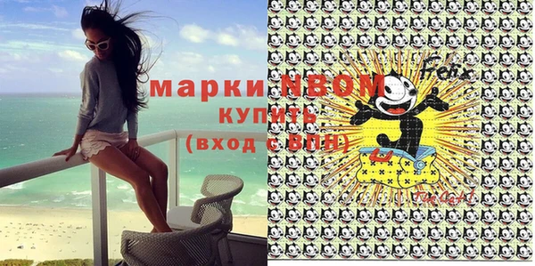 индика Кинешма