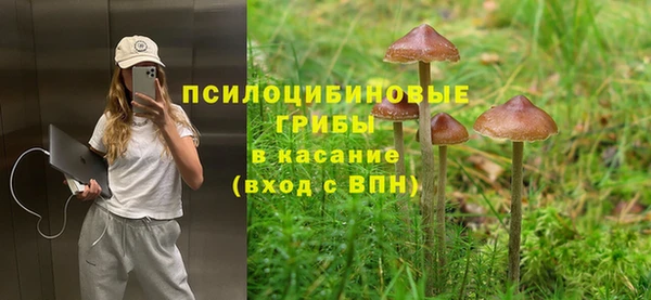 гашик Киренск