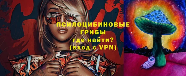 индика Кинешма