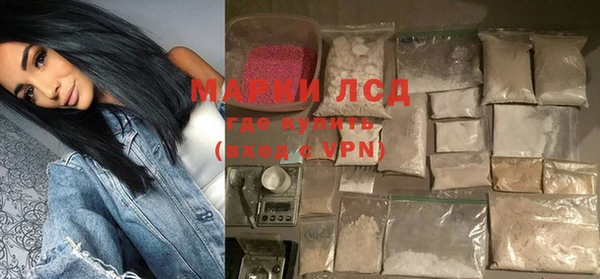 индика Кинешма