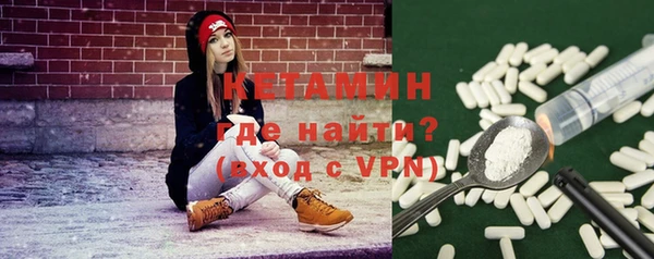 индика Кинешма