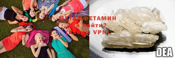 индика Кинешма
