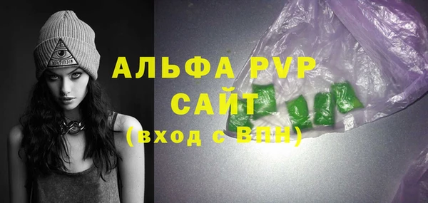 индика Кинешма